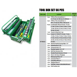 TEKIRO TOOL BOX SET 66 PCS